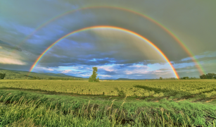 regenbogen 8 liste